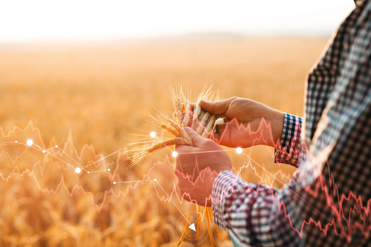 Le prospettive per il futuro alimentare è molto incerto, come la questione del grano in Ucraina Crisi alimentare e prezzi: l'emergenza non è ancora finita